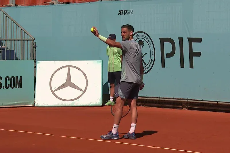 Damir Dzumhur
