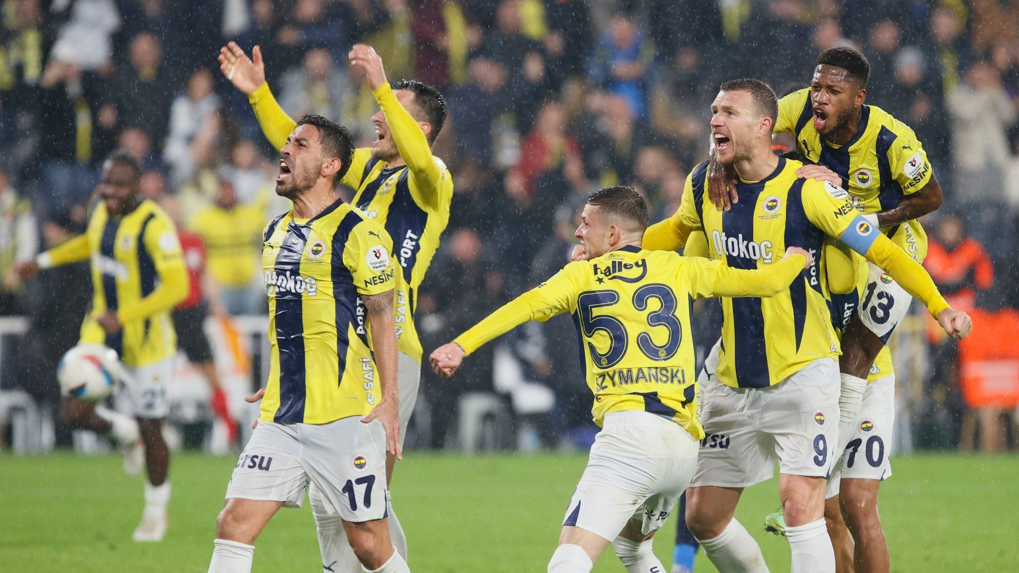Fenerbahce edin dzeko