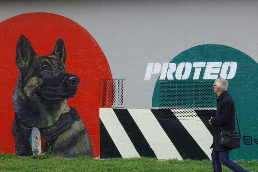 Pas Proteo