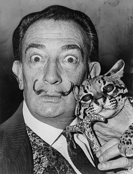 Salvador Dali NYWTS