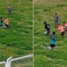 Preu stadion
