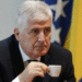 dragan covic