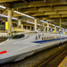 Voz Japan Shutterstock