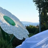 Cvijet Srebrenice/ Novi list