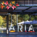 Aria Mall