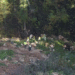 Trebević Hills