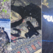 Bihac predstavljao se kao policajac