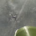 Dron Ukrajinci mrezama ruse ruske protivnicke letjelice