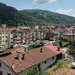 Foča birn