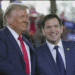 marco rubio donald trump