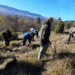 Volonterinaigmanuzasadili500sadnicasmrceigmanvolonteri6739b9be5d095jpg