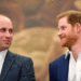 Princ william i harry