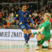Futsal bih 1