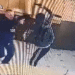 Snimak pljacke banke u Mostar zastitar ga pokusao savladati etto