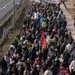 Srbija protesti