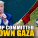 Donald Trump gaza