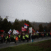 Srbija protesti