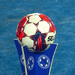 Premijer liga bih nogometni savez