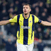 Edin Dzeko Fenerbahce