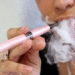 Elektronske cigare