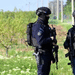 Srbija policija