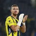 Edin Dzeko