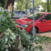 Banja luka drvo auto nesreca