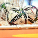 Lopta  Futsal