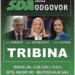 Sda tribina