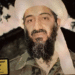Bin Laden