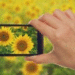 Mobitel