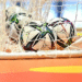 Futsal reprezentacija bih na turniru u porecu fu19 660d4b3eb1a02