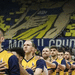 Kosarka bosna