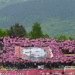 Horde zla
