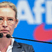 Alice Weidel Af D Njemacka etto