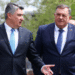 Dodik milanovic