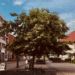 Prijedor