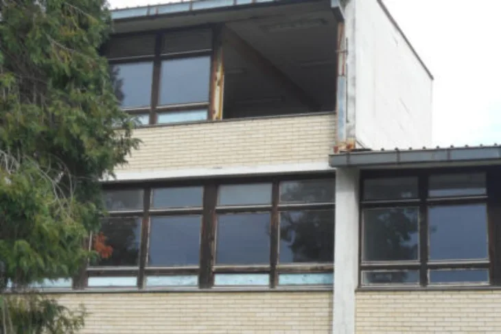 Škola/ prozor vjetar/ Srna