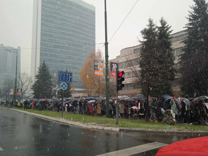 Sarajevo skup podrske palestini 2