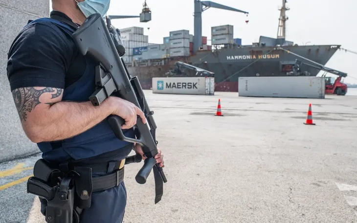 zapljena mafija profimedia