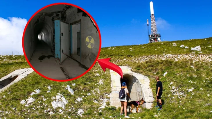 Vlasic bunker