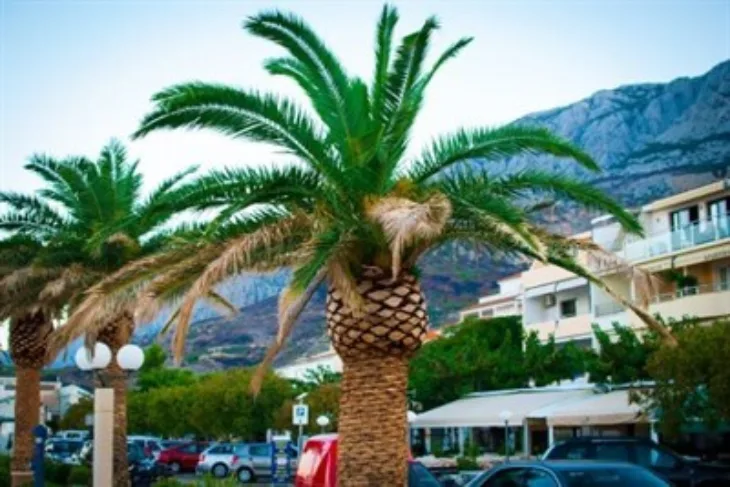 Makarska-Pixabay