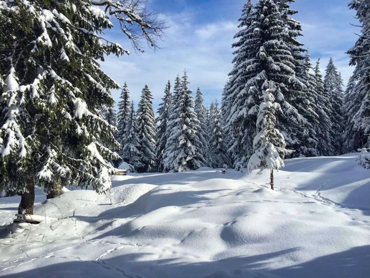 Jahorina