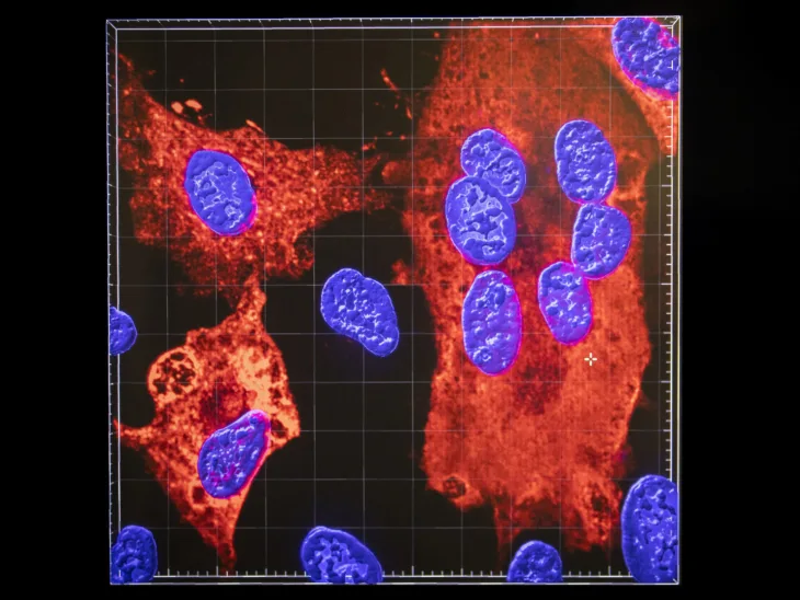 Virus x