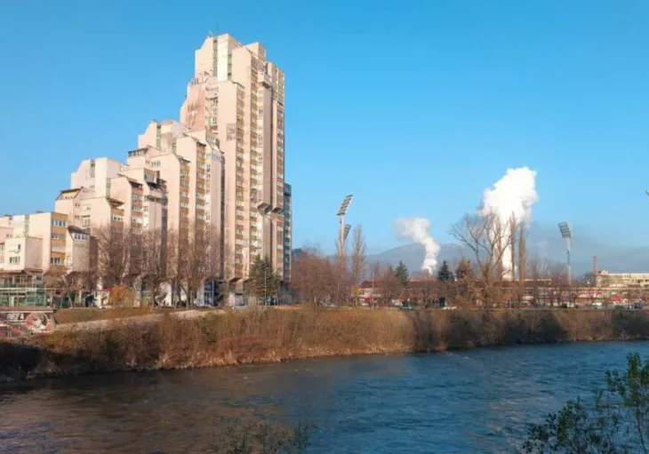 Zenica fena