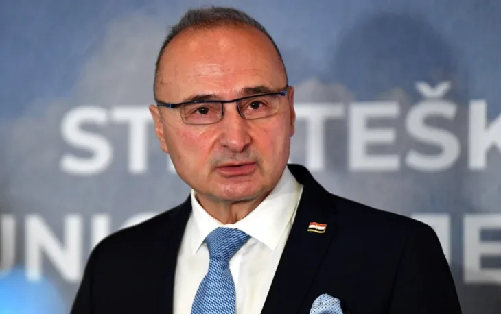 Gordan Grlić Radman