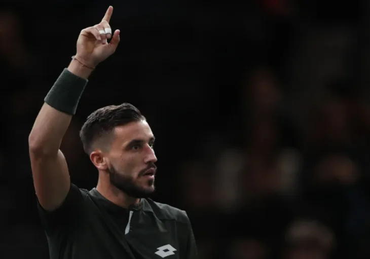 Damir dzumhur 872x610