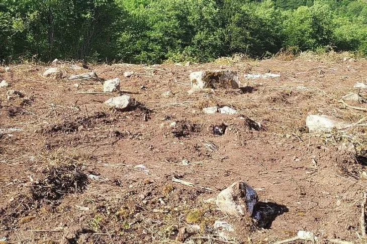 Foča stećci Historija