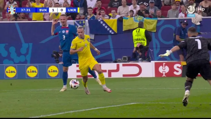 Zastava bih euro 2024