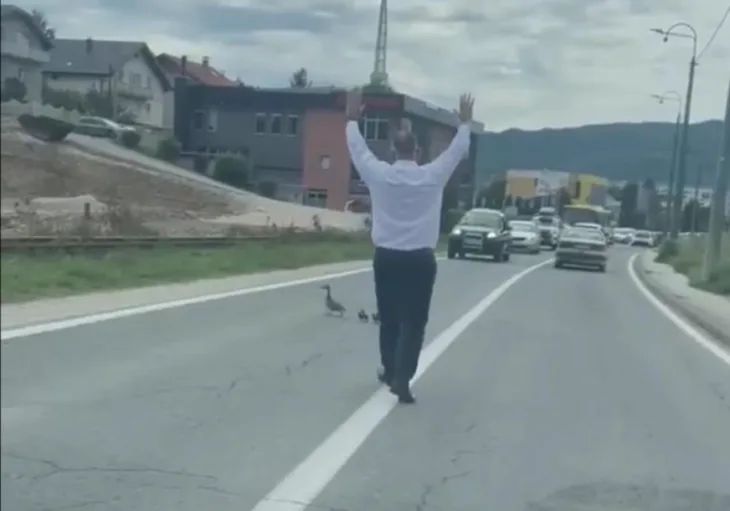 vogošća pacici foto nedim botic